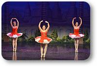 Nutcracker Ballet Theatre Company